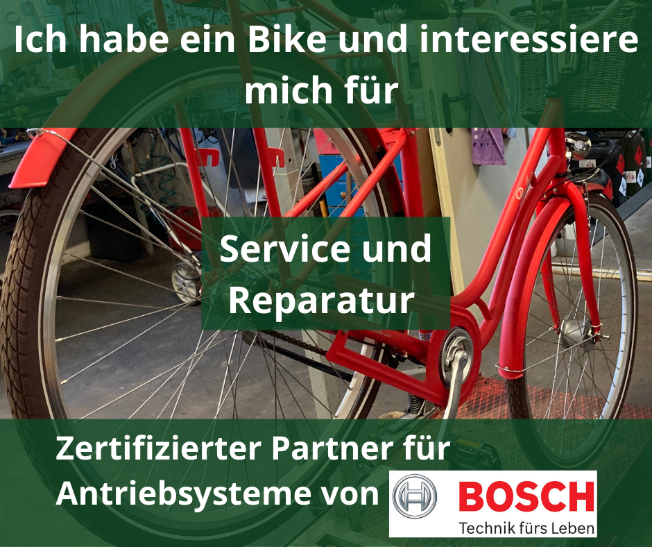 E-Bikes und Fahrräder - Rosenow's Service - Forst- und Gartengeräte