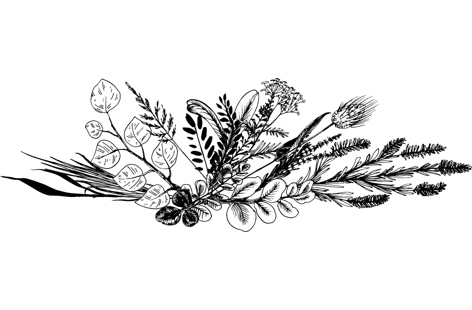 Wildkrautbeseitigung mit Kersten bei Rosenow's Service