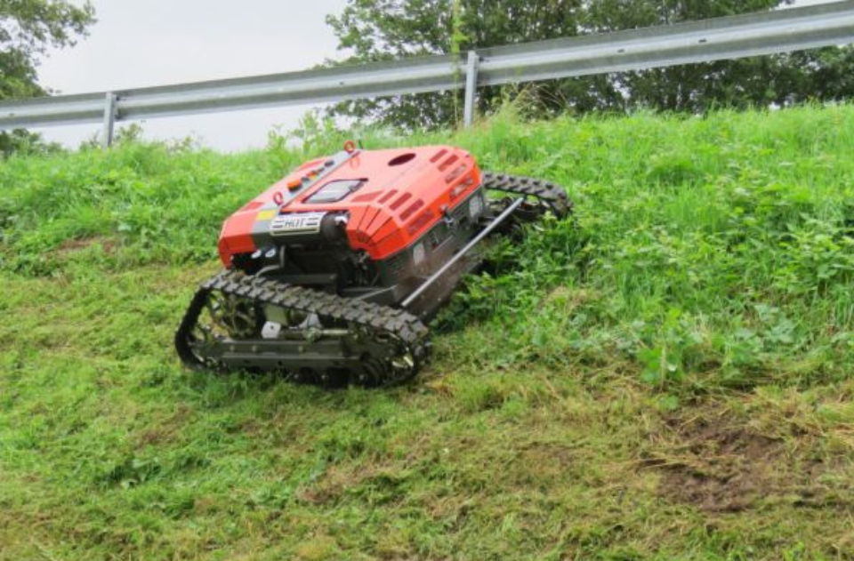 Mähraupe bei Rosenow's Service