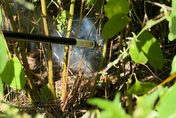 Kerten Rootwave im Einsatz, Invasive Pflanzen bekämpfen, man sieht hier die Arbeitsweise